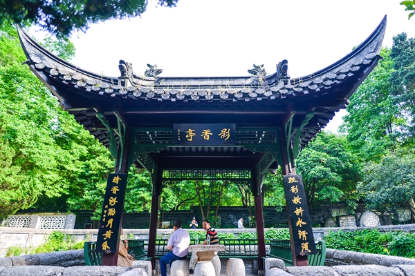 【镜头】醉美亭城 亭亭玉立