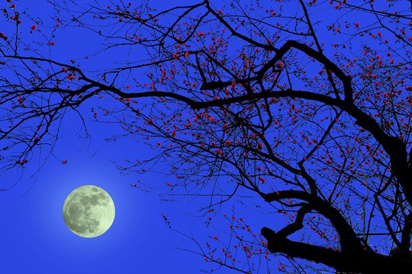 滁州市纪检监察网