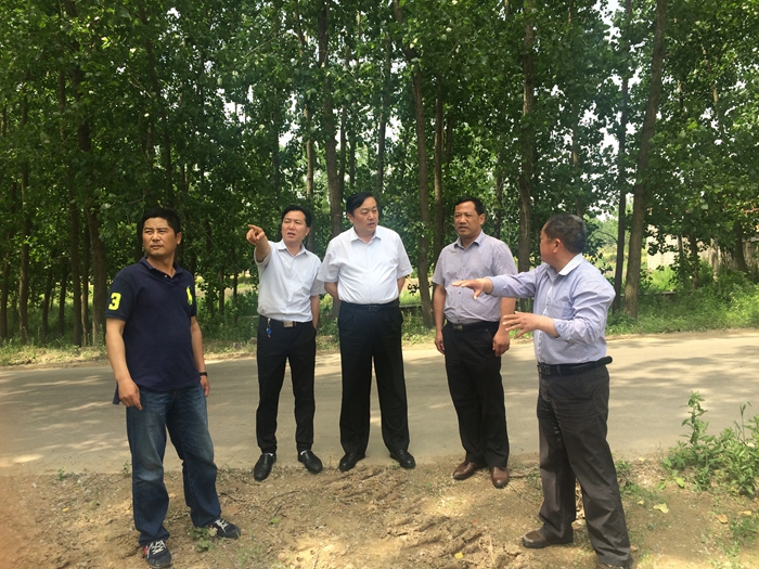 市委常委,市纪委书记李玉平深入定远县池河镇半面店村调研指导选派